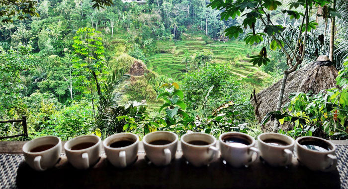 Bali Blue Moon Single-Serve Cups