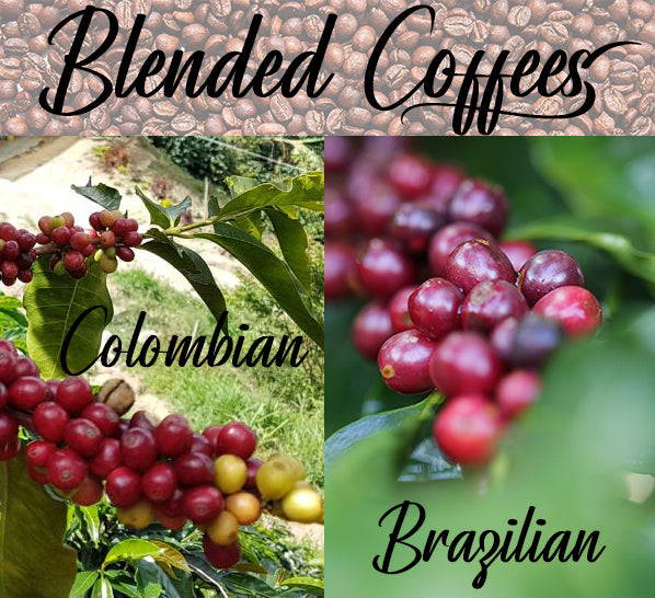 South American Blend (Signature)