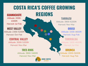 Costa Rica Single-Serve Cups
