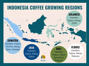 Bali Blue Moon - Single Origin