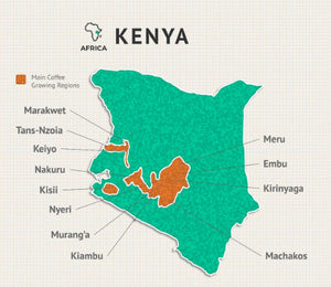 Kenya AA