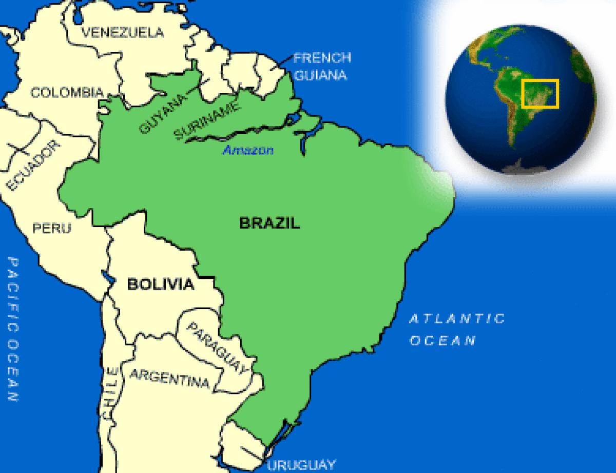 Brazil Single-Serve Cups