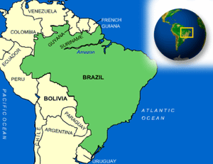 Brazil Single-Serve Cups